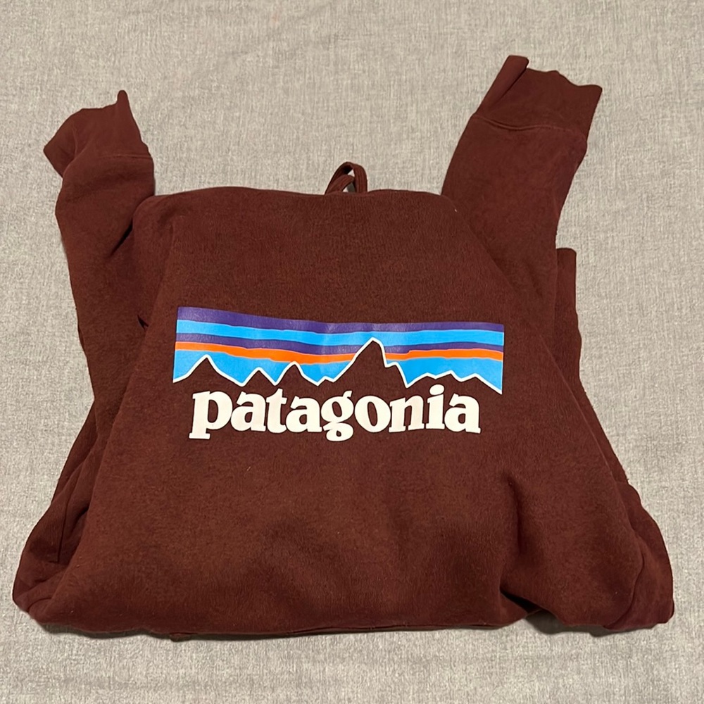 Patigonia hoodie